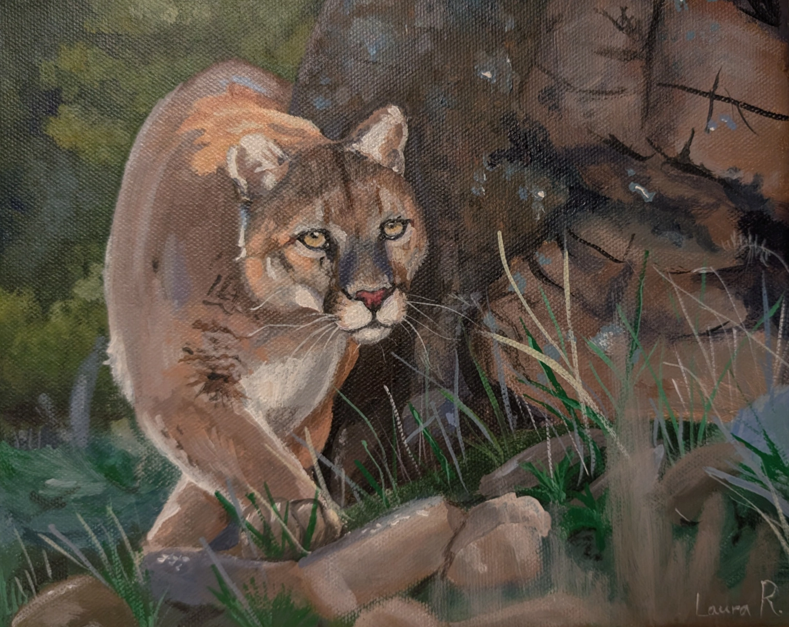 Live Model Study 2025