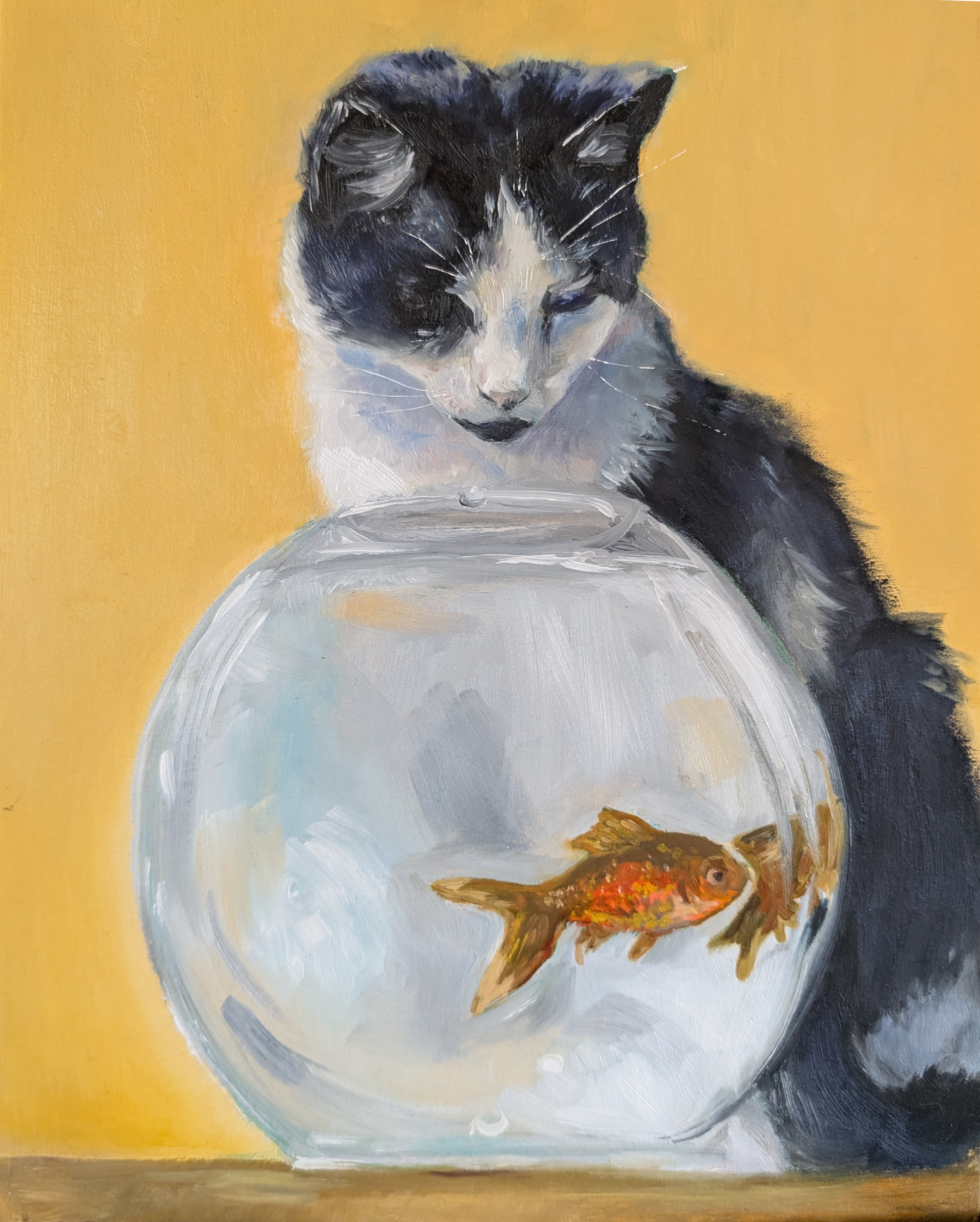 Curious cat looking at fish in the fishbowl