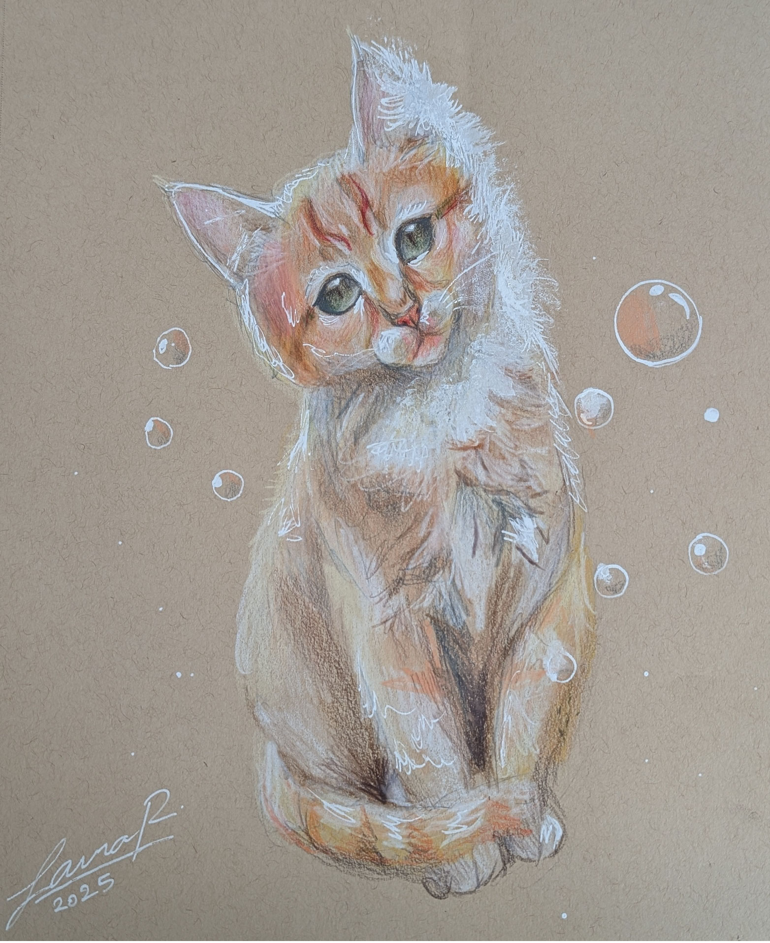 Cat with Bubbles